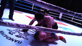 pankration-mma-odessa-golden-cup