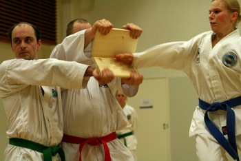 taekwondo-rozbyvannya-doshok
