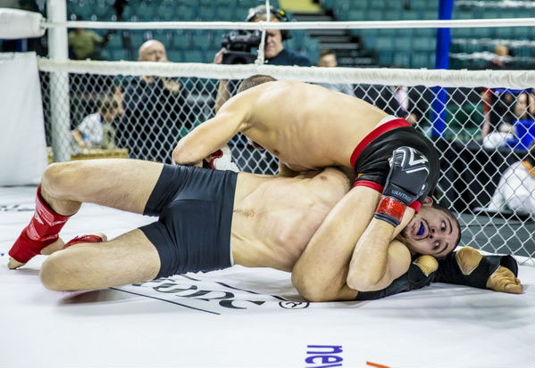 mma_eurochamp2016