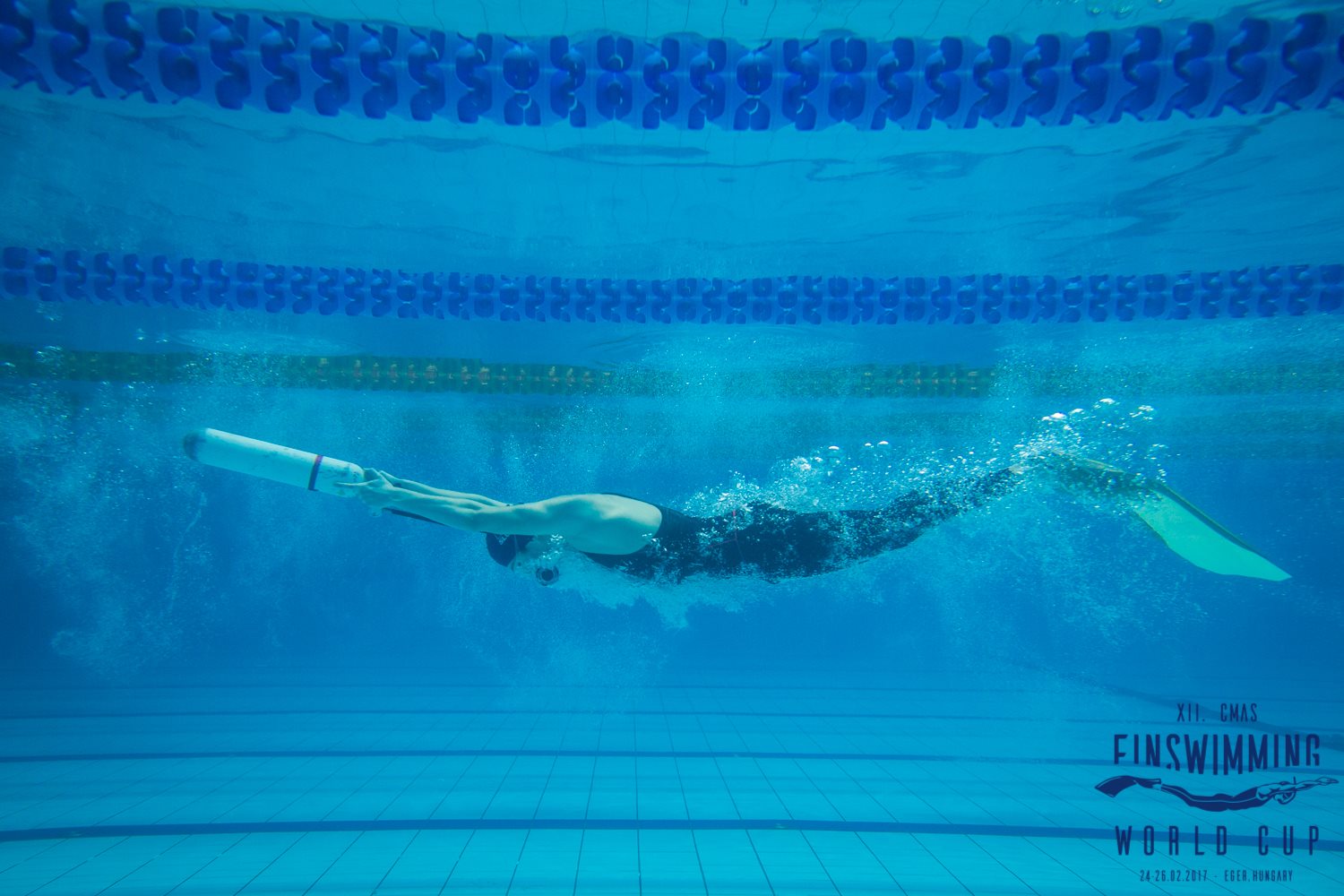 finswimmin_worldcup2017_hungary