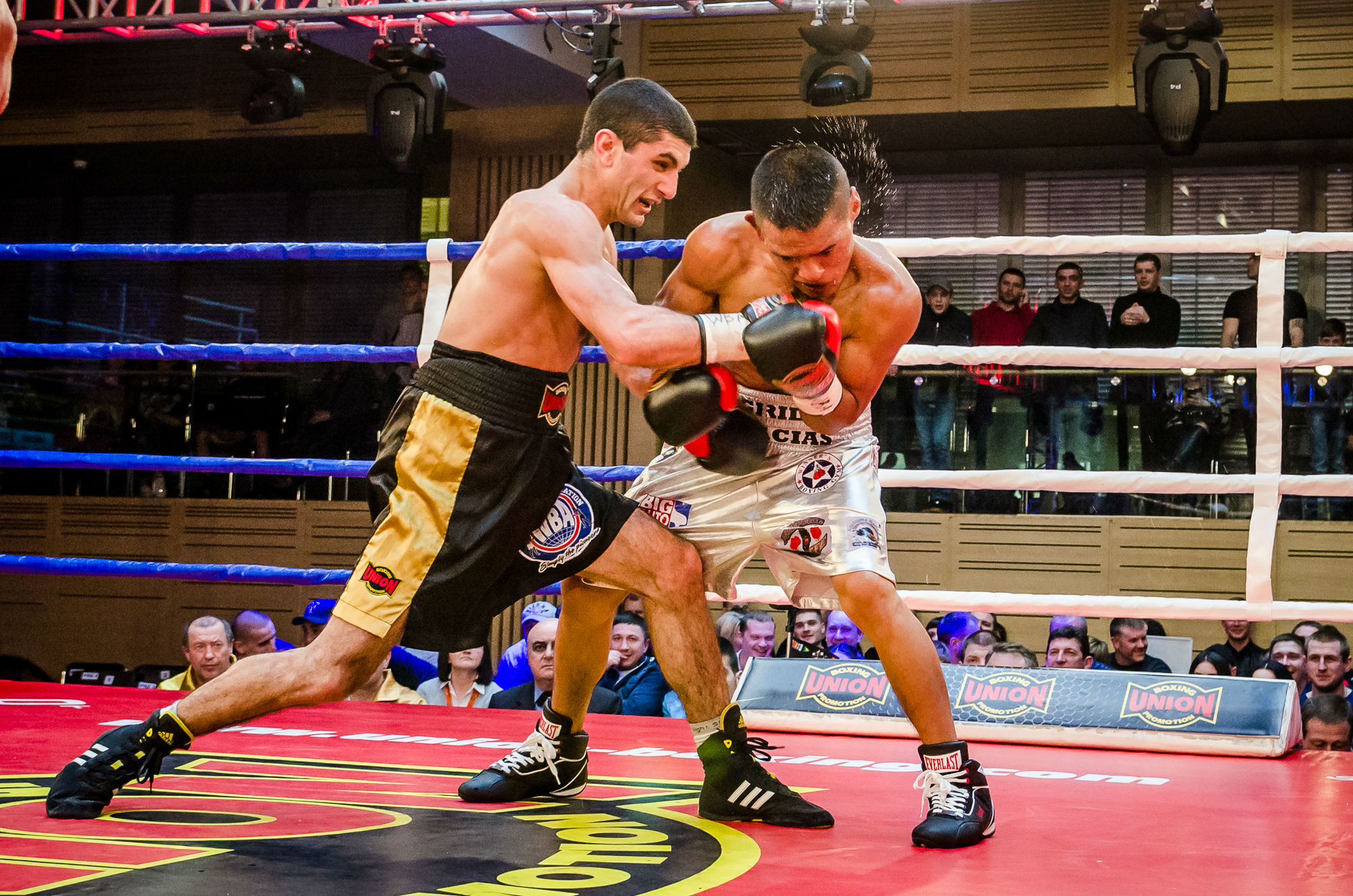 pro-boxing-show-2017_22.04_dalakyan